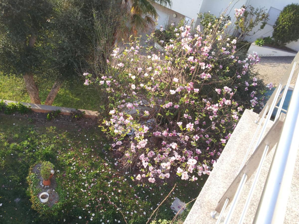 Com O Douro A Vista Bed and Breakfast Jovim Εξωτερικό φωτογραφία
